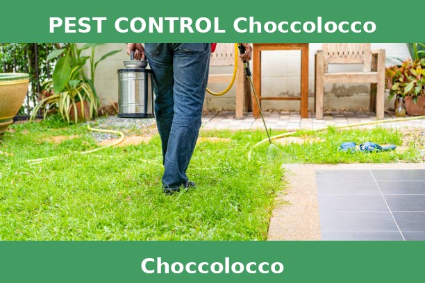 PEST CONTROL Choccolocco